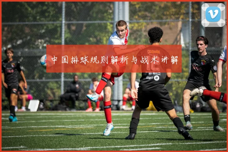 中国排球规则解析与战术讲解