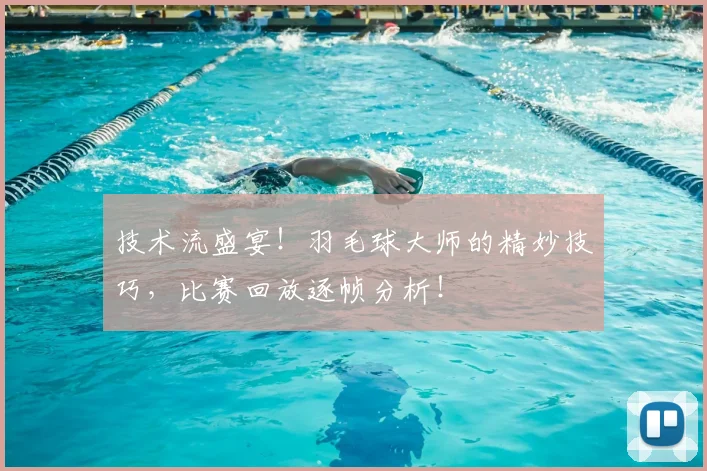 技术流盛宴！羽毛球大师的精妙技巧，比赛回放逐帧分析！