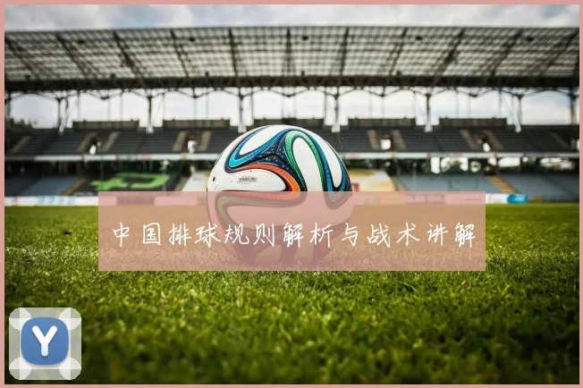 中国排球规则解析与战术讲解