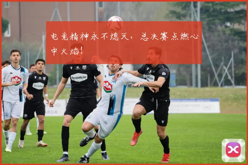 电竞精神永不熄灭,总决赛点燃心中火焰!