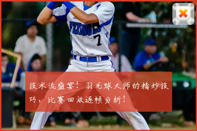 技术流盛宴！羽毛球大师的精妙技巧，比赛回放逐帧分析！