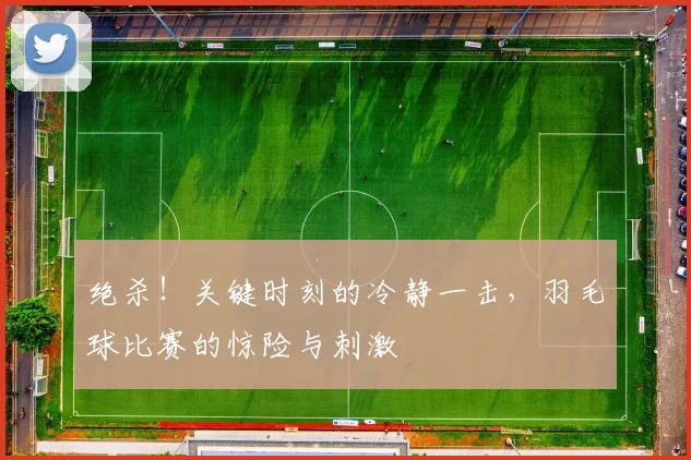 绝杀!关键时刻的冷静一击,羽毛球比赛的惊险与刺激